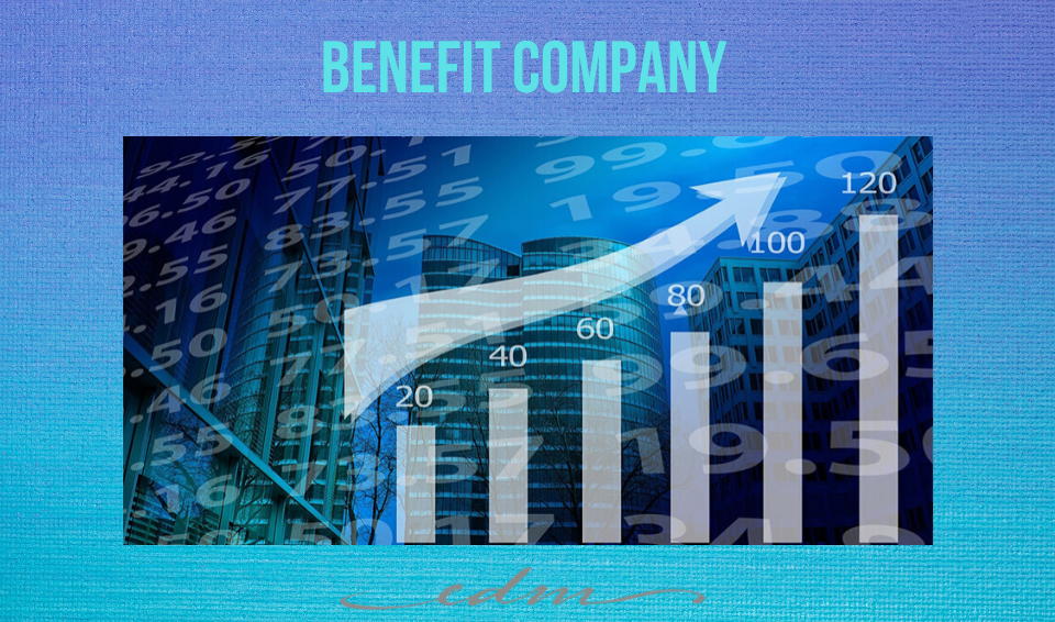 BENEFIT COMPANY